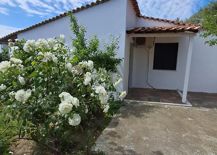 Camelia Studios Skiathos Town